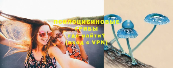 эйфоретик Верея