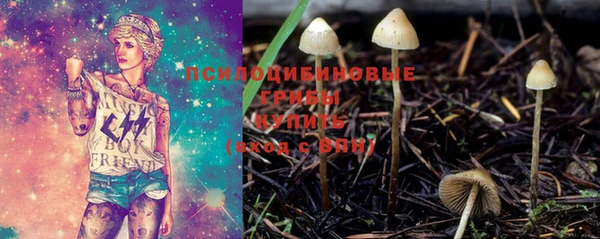 эйфоретик Верея