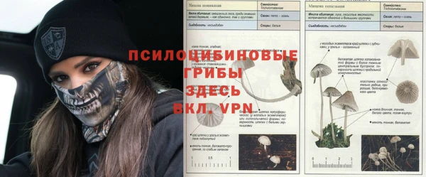 мяу мяу кристалл Струнино